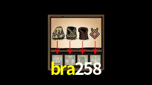 Premium Interface bra258