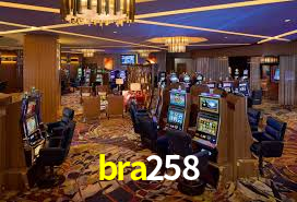 Bonus Features bra258