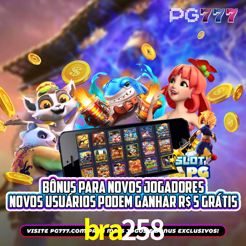 Security Systems bra258